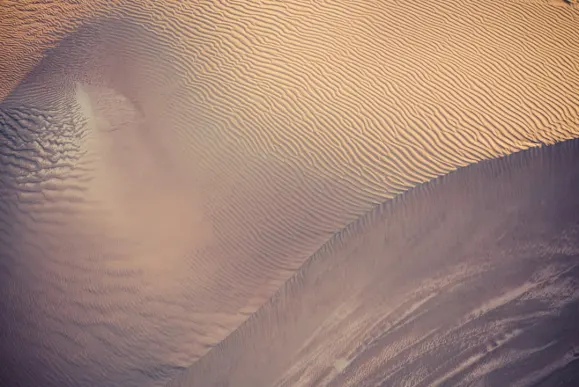 Koi Casino Assistance